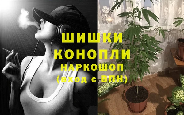 крисы Вязьма