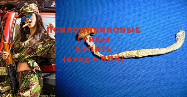 крисы Вязьма