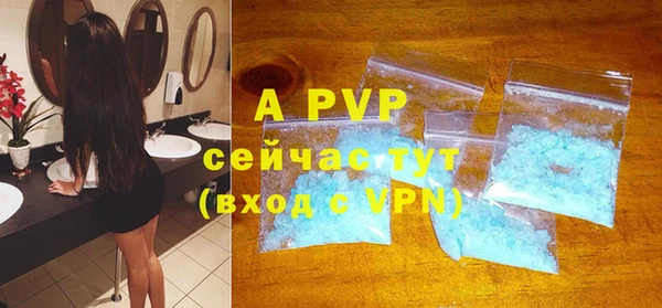 крисы Вязьма