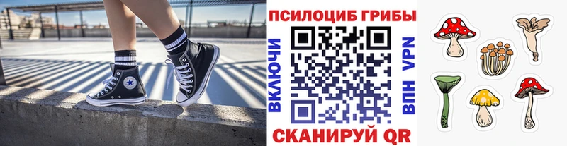 Галлюциногенные грибы MAGIC MUSHROOMS  где можно купить наркотик  Зеленоградск 